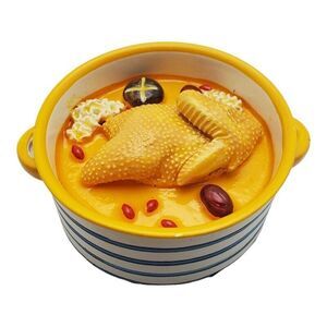 Chinese Cuisine Refrigerator Magnet Souvenir Travel Tourist Chicken Shitake Soup